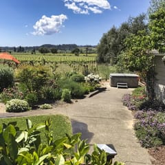 Vinehaven - 3 BD Healdsburg Retreat with Spa