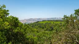 Vineyard Vista - 3BD, Views, Spa, Close to Plaza - Image 5