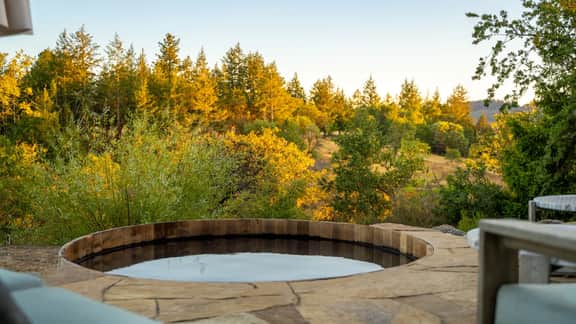 Dry Creek Wonderland | Private Farm Estate in Wine Country - Image 4