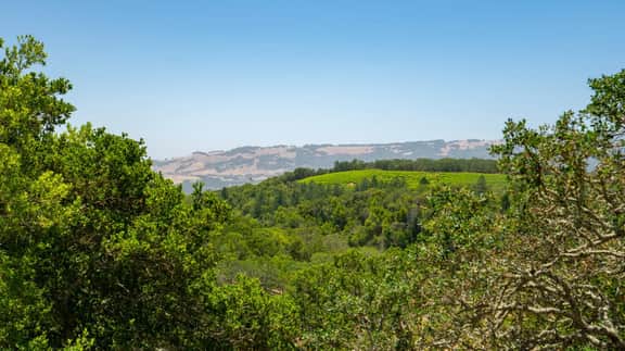 Vineyard Vista - 3BD, Views, Spa, Close to Plaza - Image 5